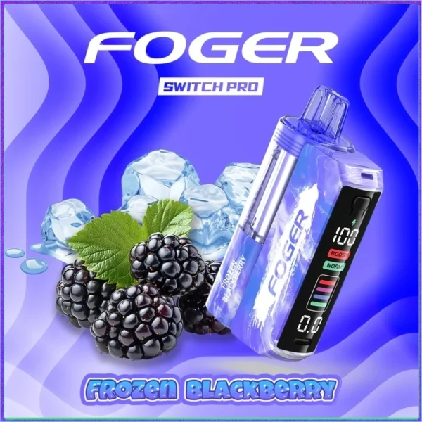 Berry Bliss – Foger Switch Pro Kit | 30K Puffs
